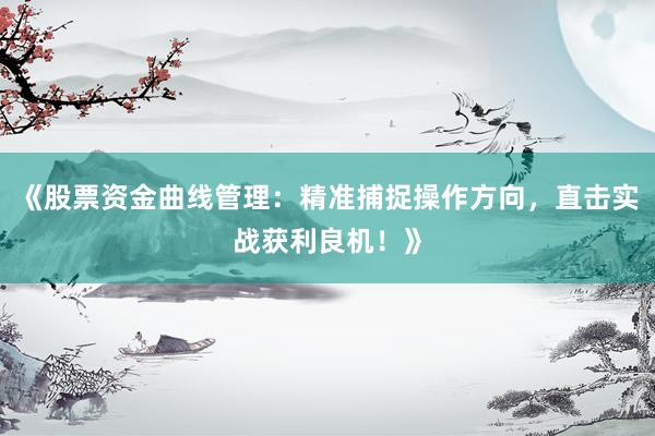 《股票资金曲线管理：精准捕捉操作方向，直击实战获利良机！》