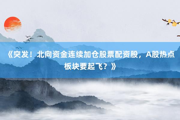 《突发！北向资金连续加仓股票配资股，A股热点板块要起飞？》