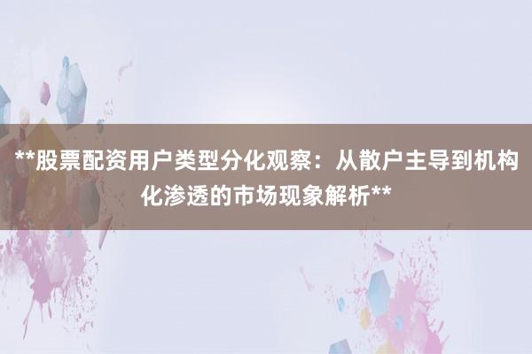 **股票配资用户类型分化观察：从散户主导到机构化渗透的市场现象解析**